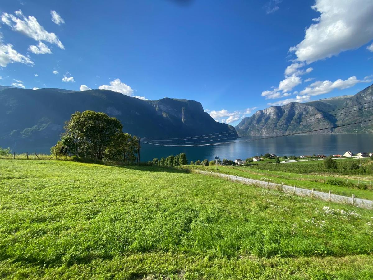 Winjum Hostel Stegastein Aurland Εξωτερικό φωτογραφία